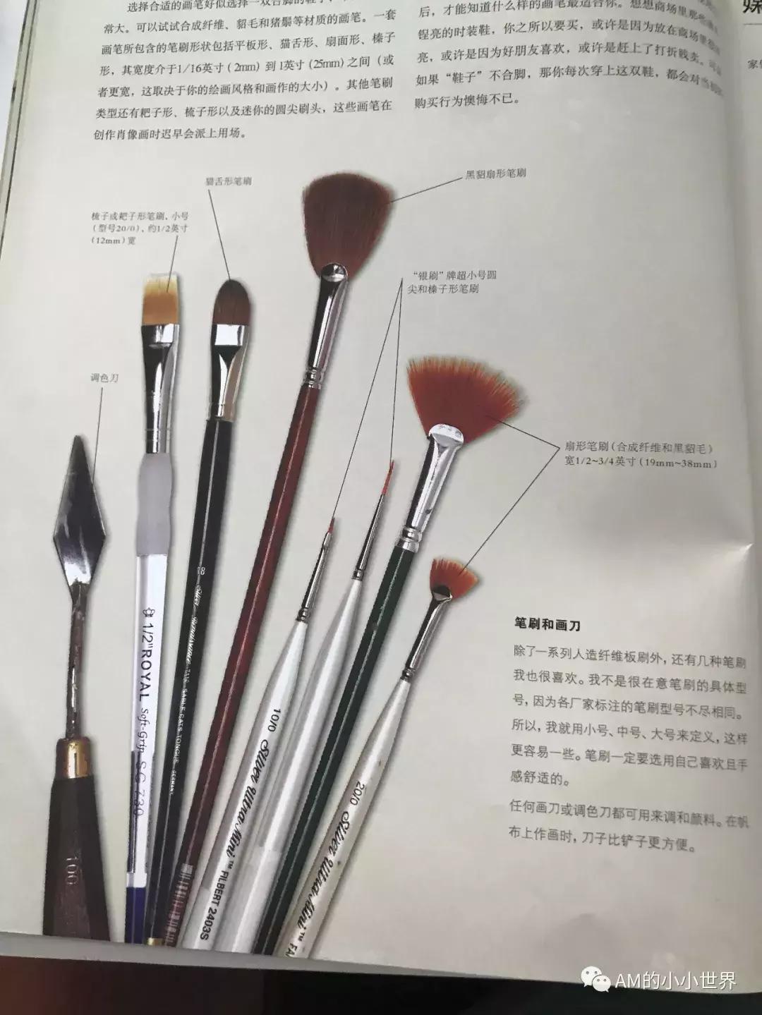 油画静物花卉教程视频,油画人物和风景教程