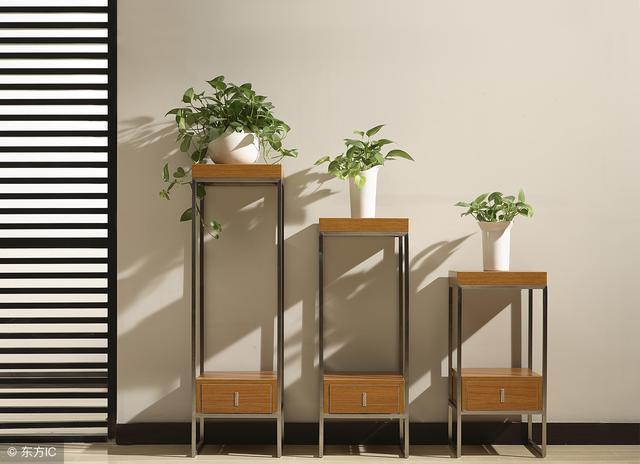 宝宝艾叶治湿疹最快的偏方,婴儿湿疹克星草