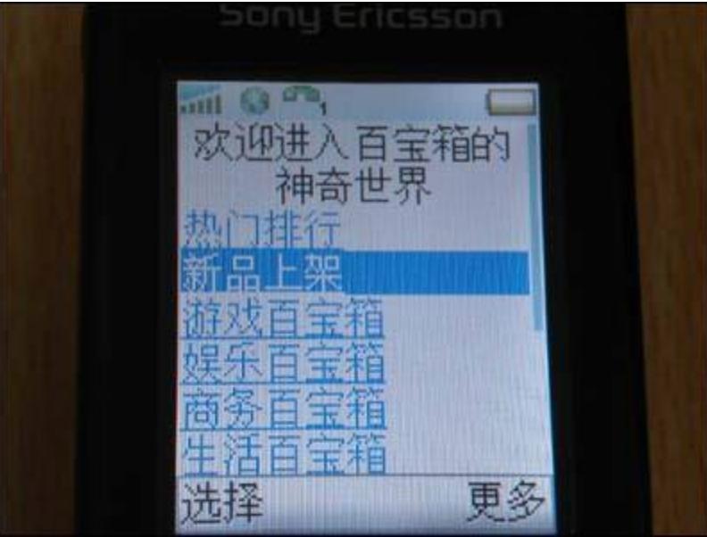 java小游戏扣费,java游戏扣费信息