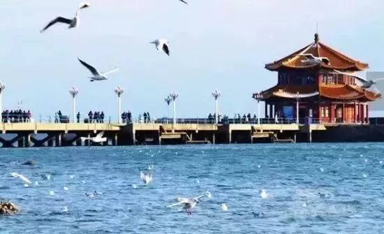 温州最近机票便宜的地方,哪里飞温州机票便宜