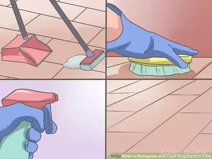 狗狗起红疹怎么办,狗狗红疹怎么治