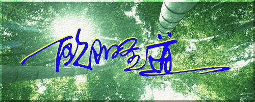 051期：目前已经制作了一千三百多个姓名大家找一下