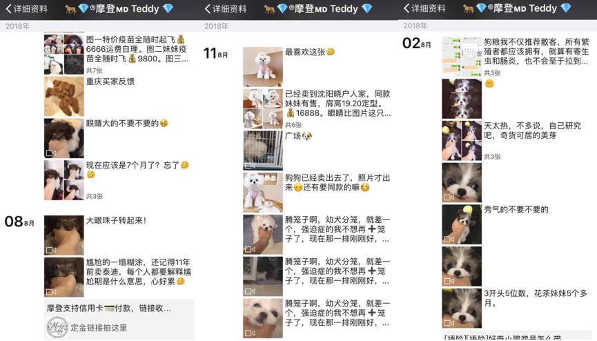 00后女大学生开宠物店月入过万,85后美女开店