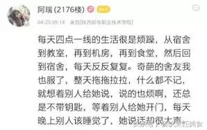 新流星花园所有的片段,新流星花园有多火