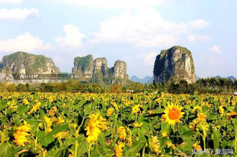 南宁青秀山自驾游从哪个门进入,南宁至张家界自驾游的旅游攻略