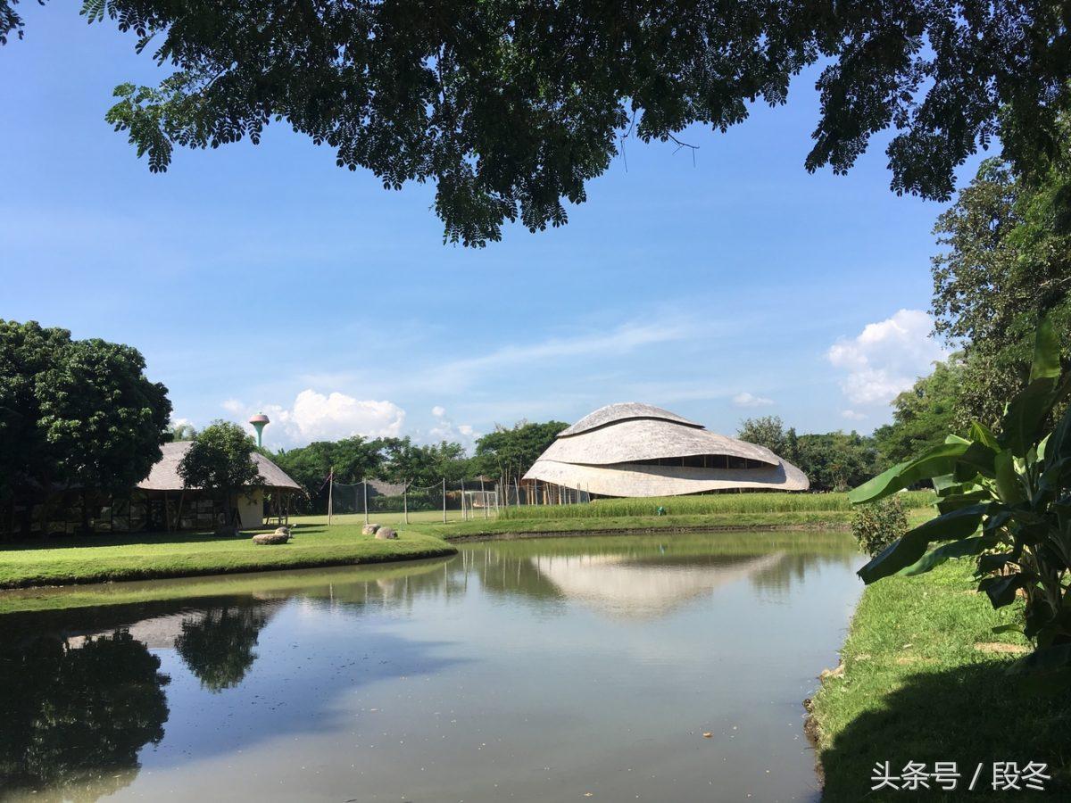 进入完全由竹子建造的体育馆，犹如奔赴一场精彩绝伦的工艺盛宴