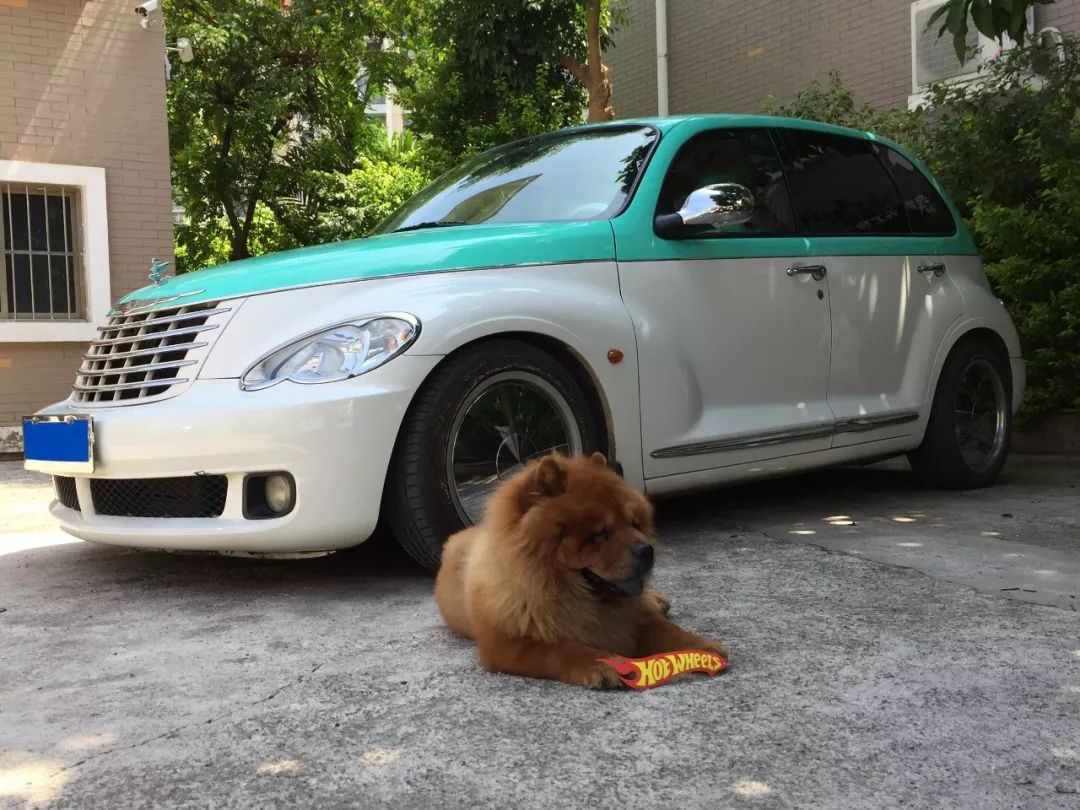 男人从未长大只是玩具在变 (男人从不曾长大只是玩具变了)