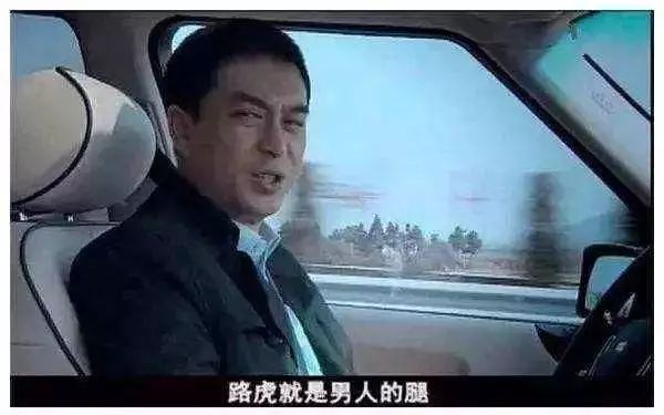 路虎road rover新能源 (路虎哪款车后面是landrover)