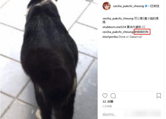 谢霆锋回应张柏芝三胞胎,张柏芝晒肚子隆起照引发猜测