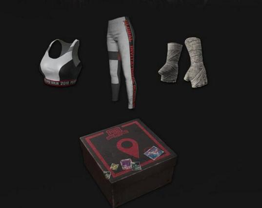 绝地求生全套装,绝地求生十大稀有套装图