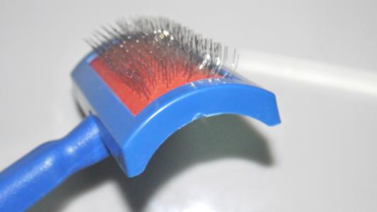 人类没有了自己身上的毛会怎样,人类为什么失去全身的毛