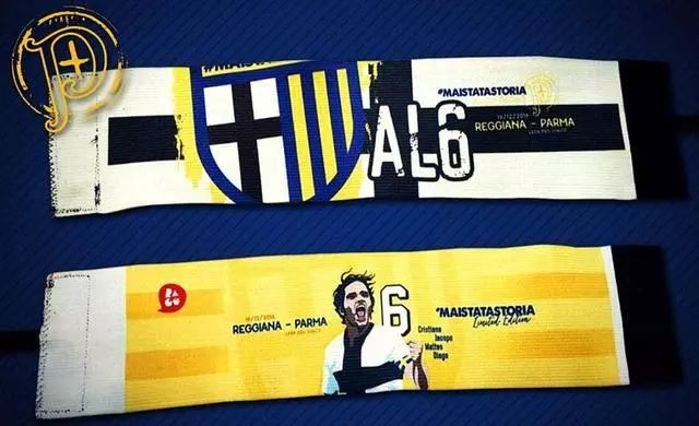 浴火重生之火凤凰,浴火重生