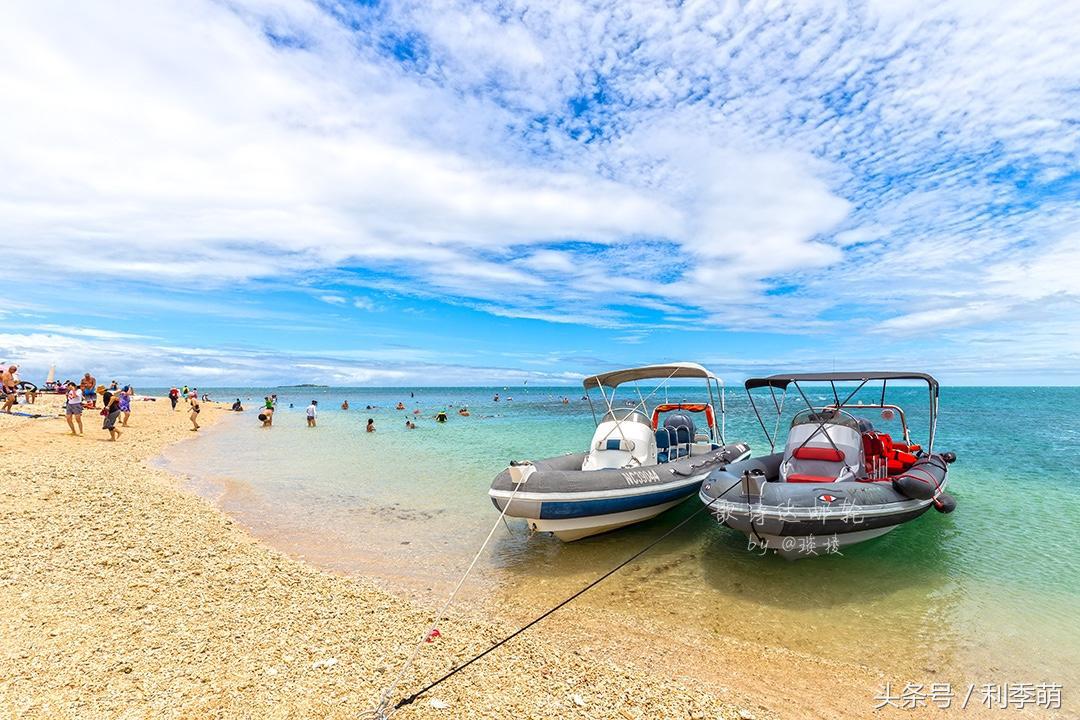 「透视旅行」依依不舍告别“鸭岛”