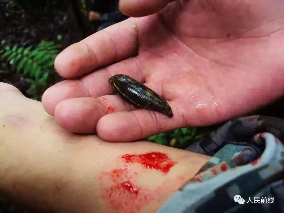 1986西藏墨脱军人的照片,80年代墨脱军人的照片