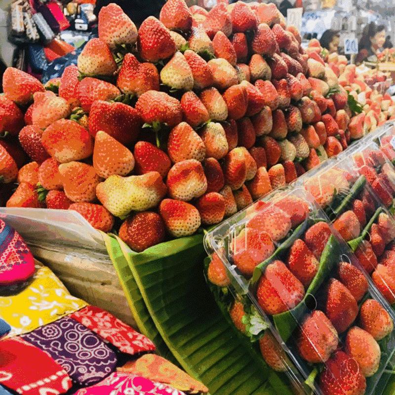 清迈亲子旅游注意事项,清迈亲子旅游美食