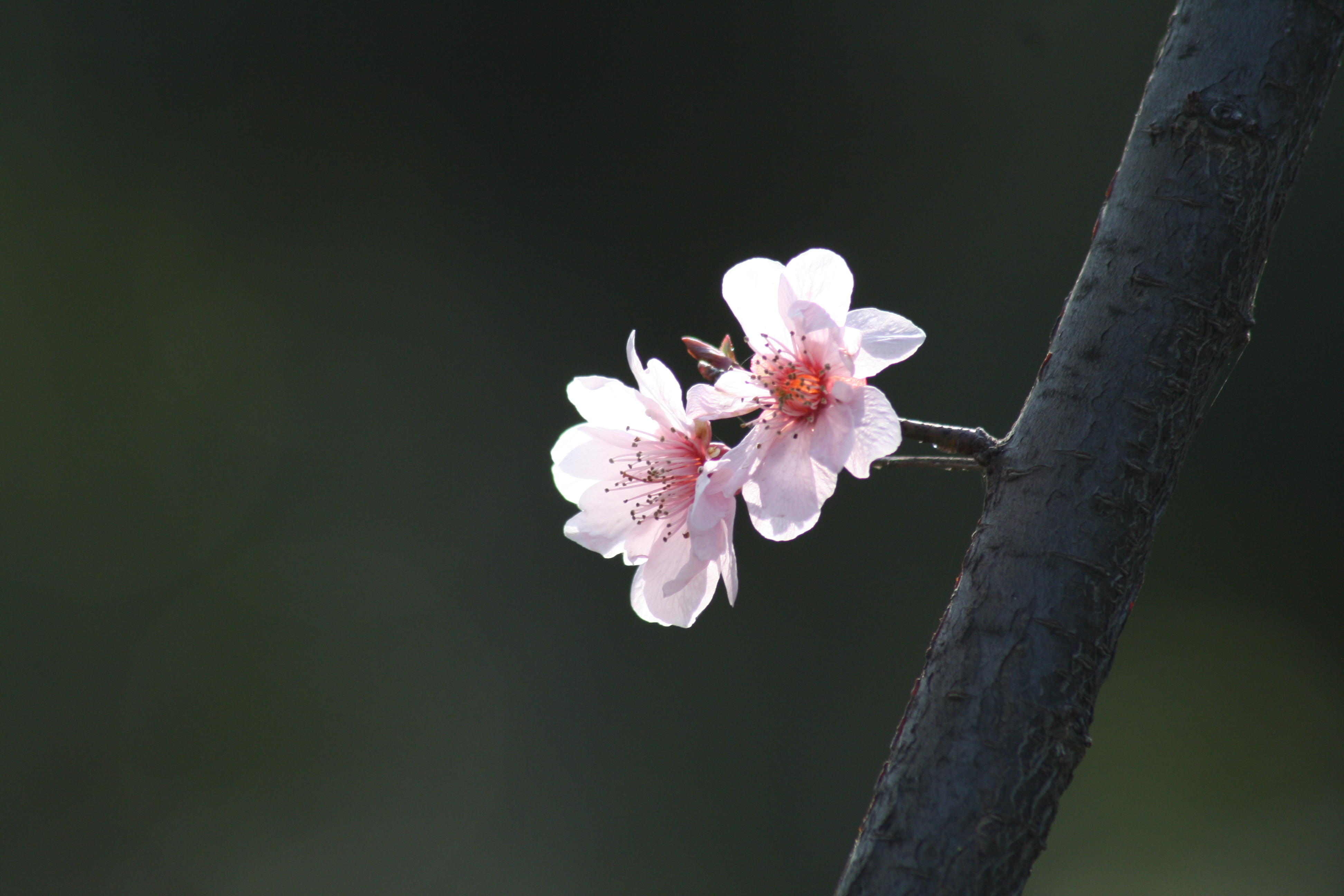 别人说自己干活老错怎么回复,雇人干活把活干错了咋办