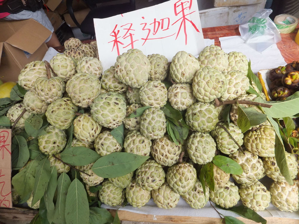 去厦门玩可以带什么美食回来,去厦门玩适合带走的伴手礼