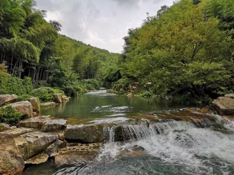 宜兴竹海吹起了一股简洁风,吹来了一波纯色壁纸~