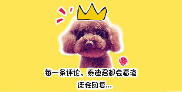 妈妈订床的时候不小心买成XS，乖乖狗不想伤妈妈假装很感激超辛苦