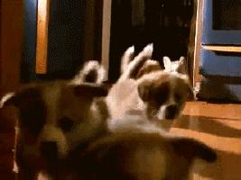 土耳其货币崩盘后怎么样了,土耳其货币崩盘买什么