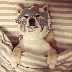 朋友圈代购图鉴,多的是你不知道的事!