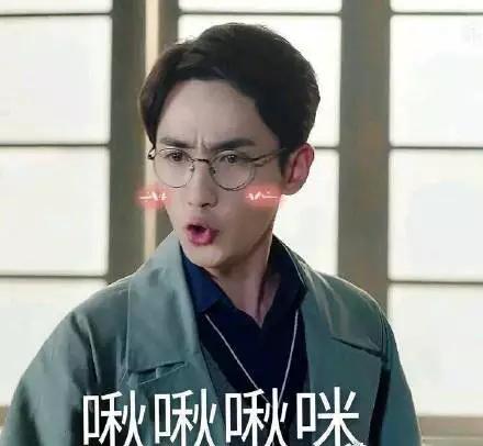 无cp有感情线的纯爱快穿文,一些好看的快穿流纯爱文