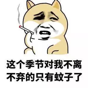 世界蚊子日是什么节日,有世界蚊子日吗