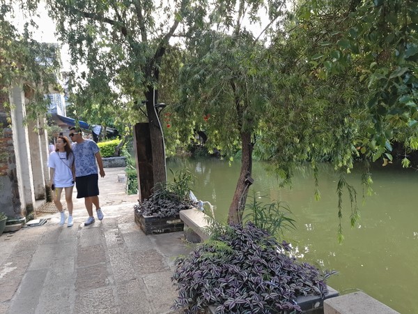 顺德逢简水乡出名小店,顺德逢简水乡属于哪个镇