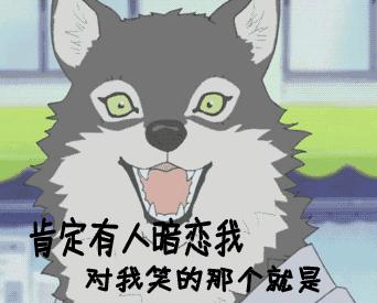 youresalty,缇庡浗鍙ｈ淇氳澶у叏鐧惧害鏂囧簱