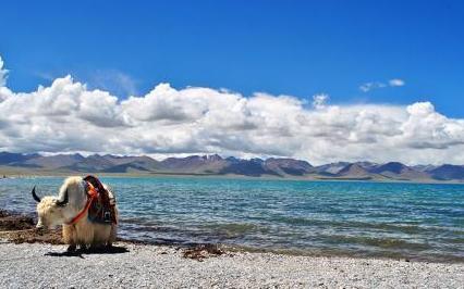 西藏旅游最常遇到的坑,藏西自驾游注意事项