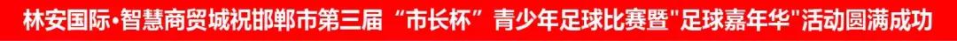 邯郸市第十九届足球联赛,河北邯郸市青少年足球比赛
