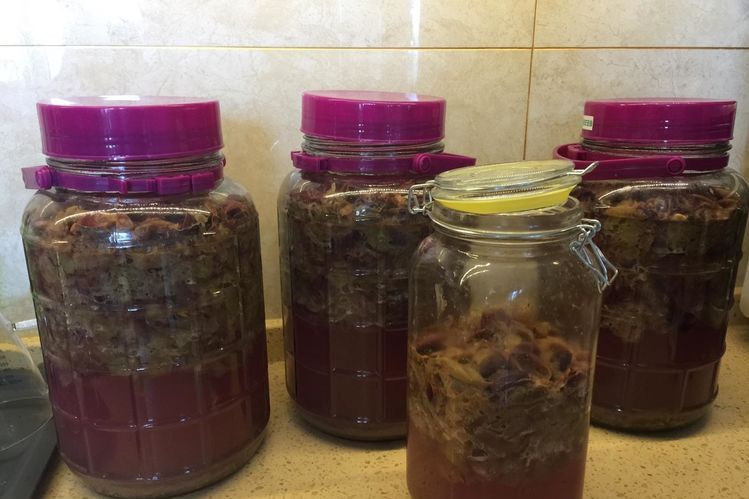 自酿葡萄酒的详细制作方法,葡萄酒正确做法自酿全过程