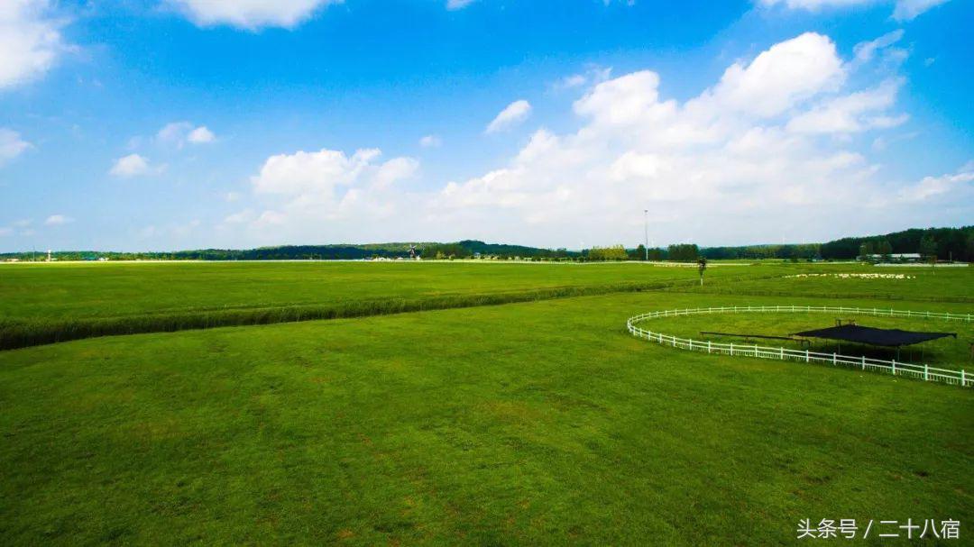 陈柏霖纳米比亚自驾游视频,陈柏霖在沙漠开车