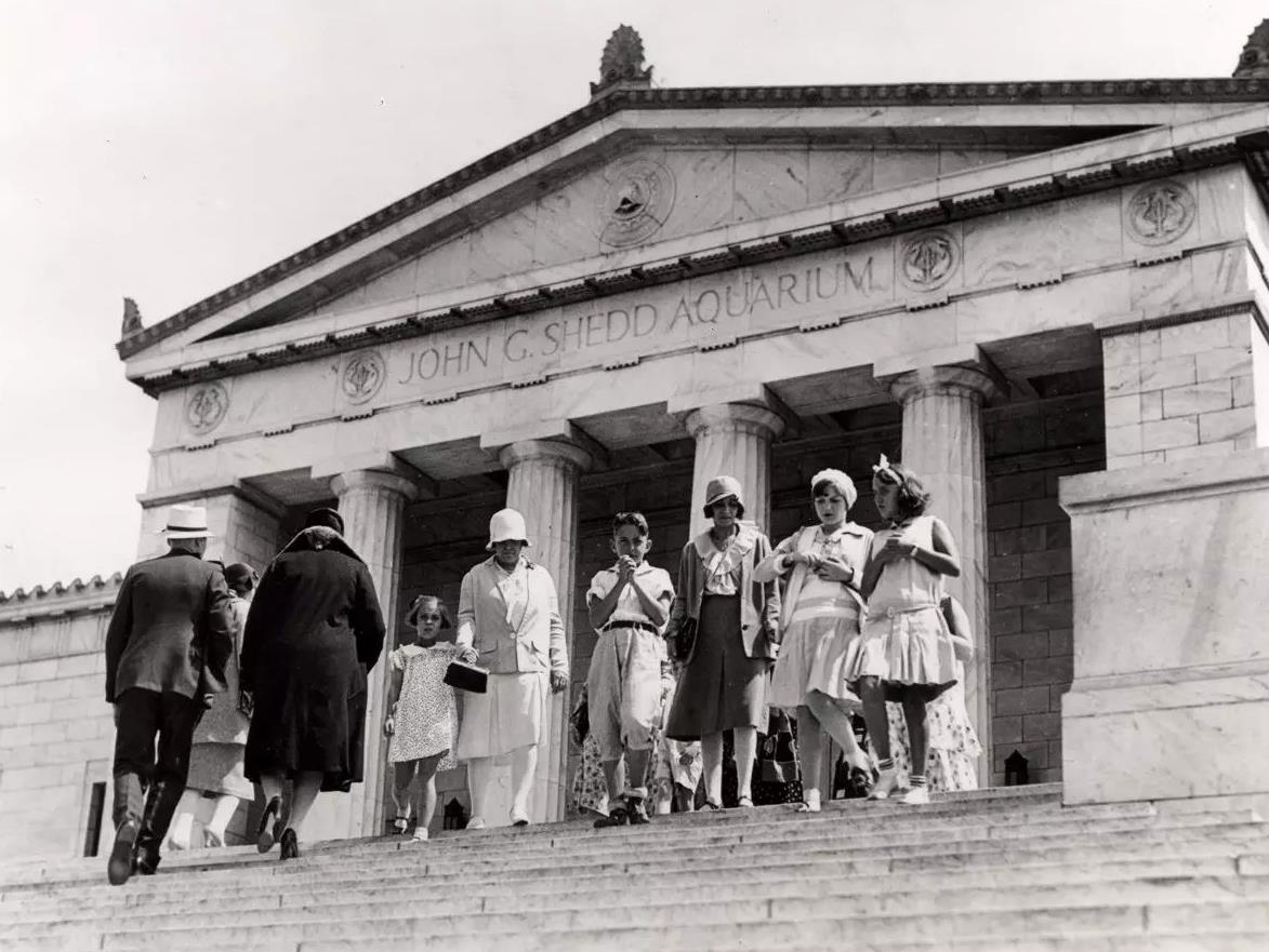 见到这只鱼大伙都要喊它爷爷,结局竟被安乐死,人们却表示赞同