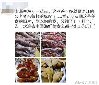 湛江各个渔港,广东渔港码头开海新情况