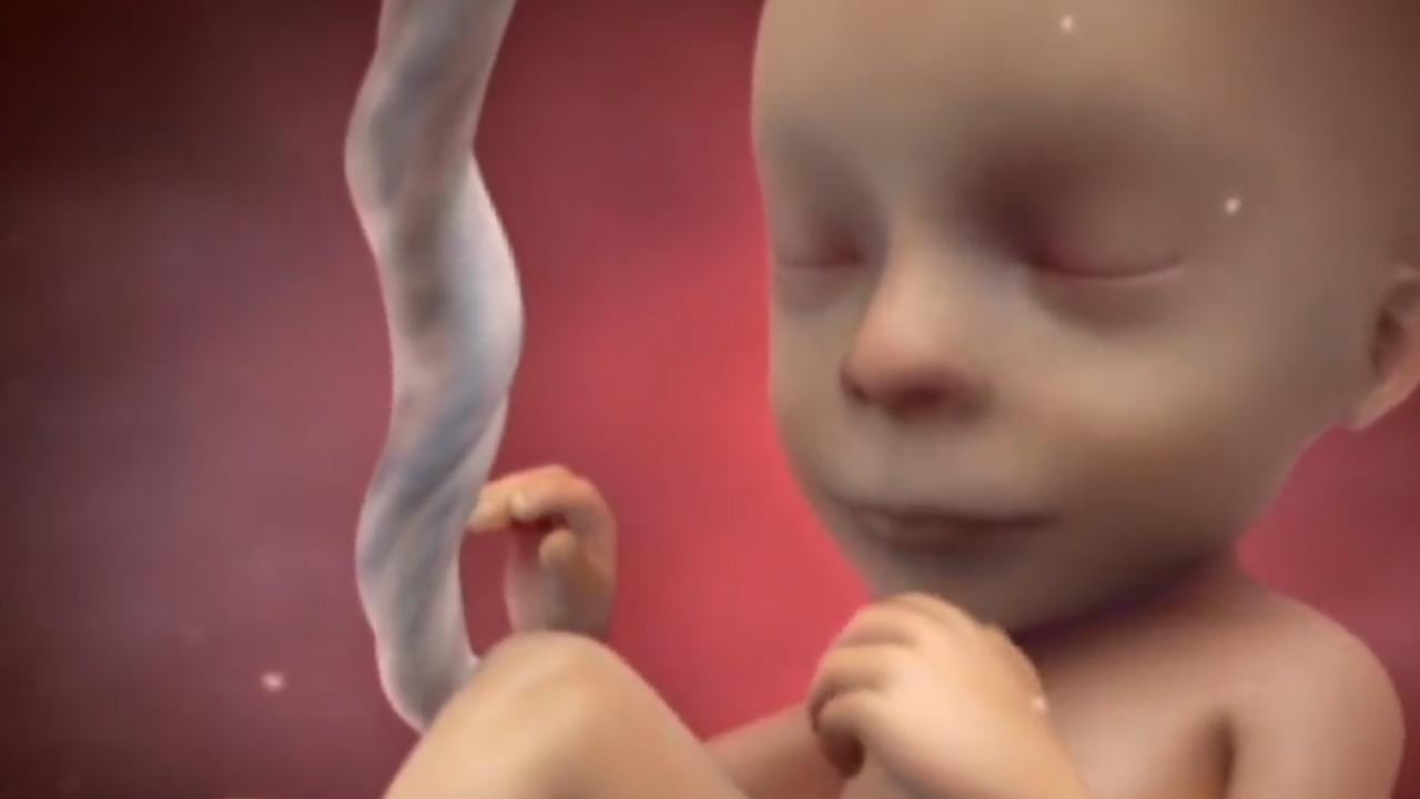 孕期肚子咕噜咕噜响是怎么回事,孕期肚子里咕噜咕噜是胎动么