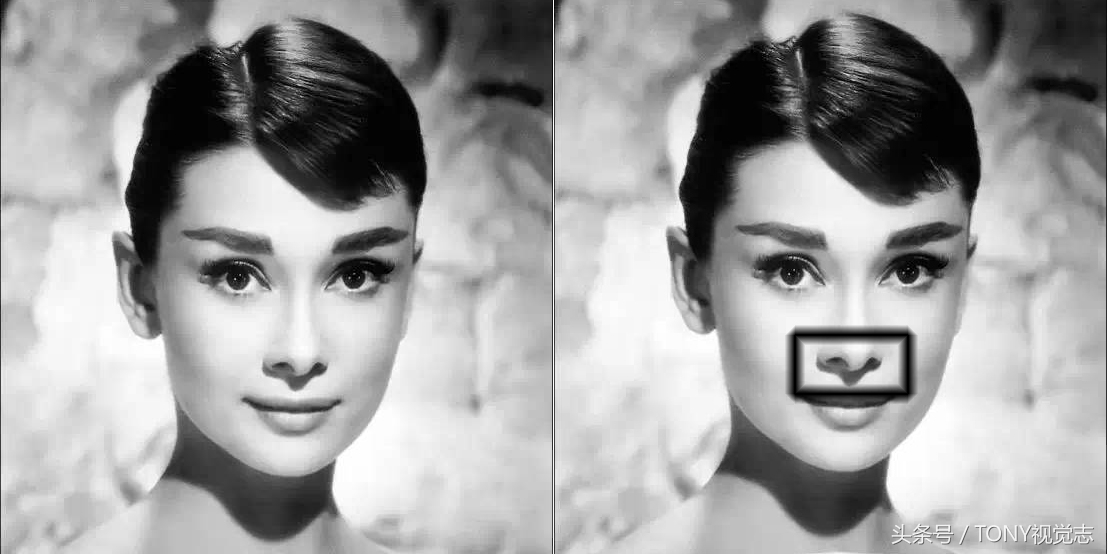 摄影光位图及其介绍,静物摄影光位图解大全