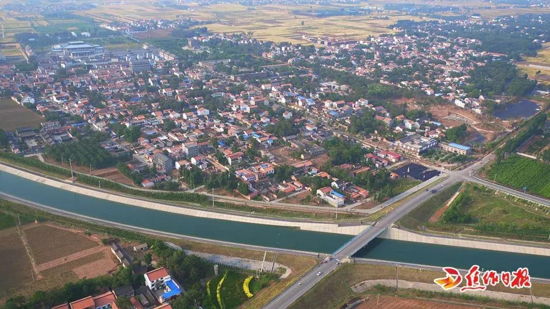 立足“一拳一药一种”，创新“一农一文一融合”，产业兴看温县