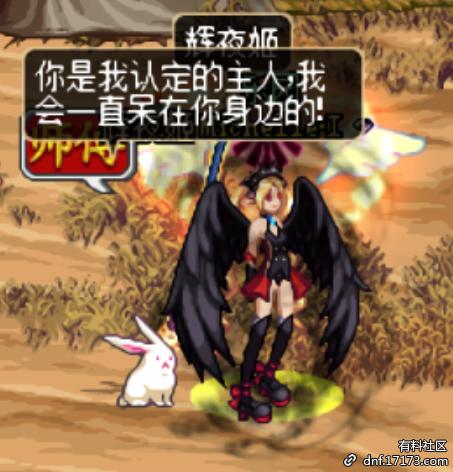 dnf宠物是什么动物,dnf宠物外形是龙的叫什么名字