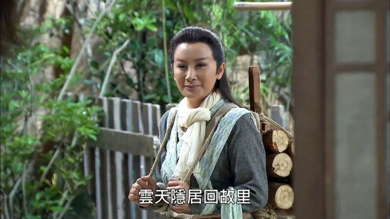 陈亚兰歌仔戏天龙传奇花絮,陈亚兰李宣榕天龙传奇演唱会