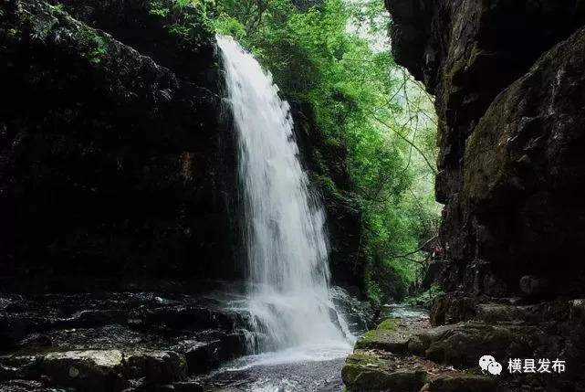 骞胯タ妯幙鑼夎帀鑺变埂瑙嗛,骞胯タ妯幙鑼夎帀鑺变埂
