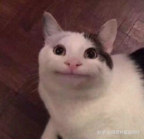 拼多多为什么比小米商城还便宜,拼多多商城的药保健品能买吗