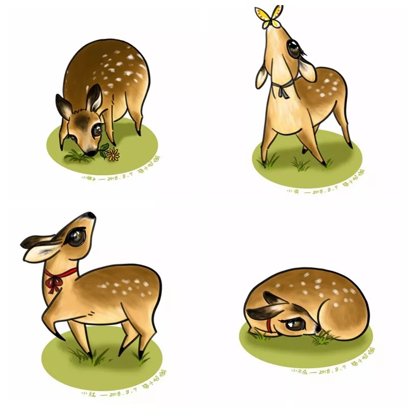 为什么救助狍子要用白布捂眼睛,救助狍子该送哪里