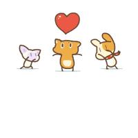 公交新开调整8条快速直达专线,公交线路有变