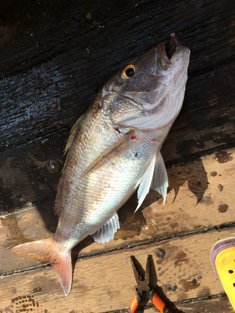 别让贫穷限制了你的想象豪宅,别让贫穷限制了你的想象力图片