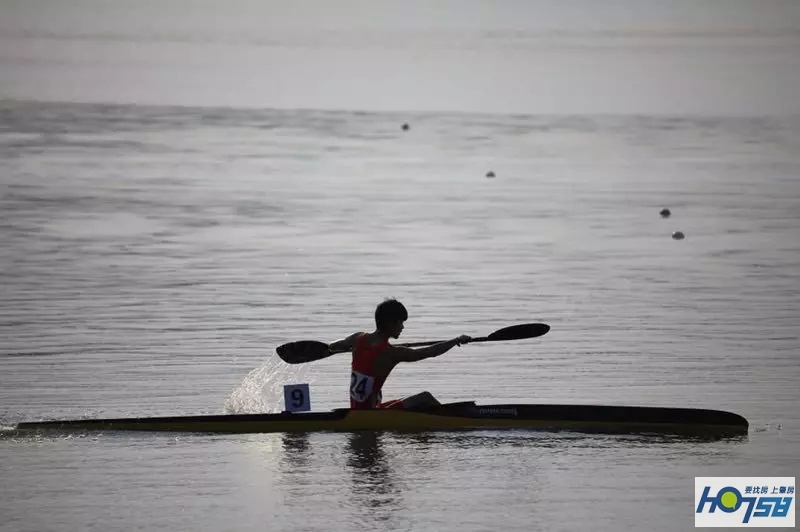 肇庆市第17届省运会,肇庆省运会各市奖牌榜