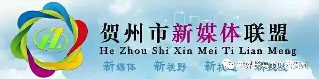 惊喜！8月24日黄姚花海景区免费入园了，这些“仙境”你舍得错过吗？