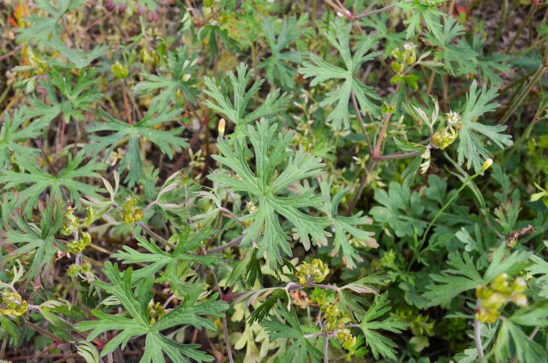 一个月入三万的人,一个月入3万的人