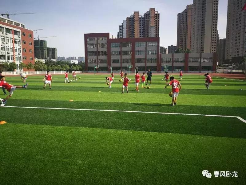 厉害啦!南阳市二十一学校俩“足球小子”入选恒大精英队