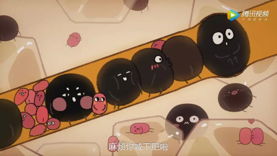 10部高评分的国产动画,豆瓣2021年评分9以上的国产动画